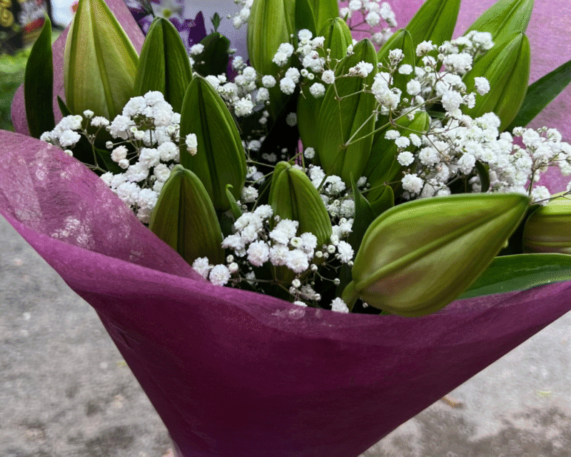 Plain Lillies