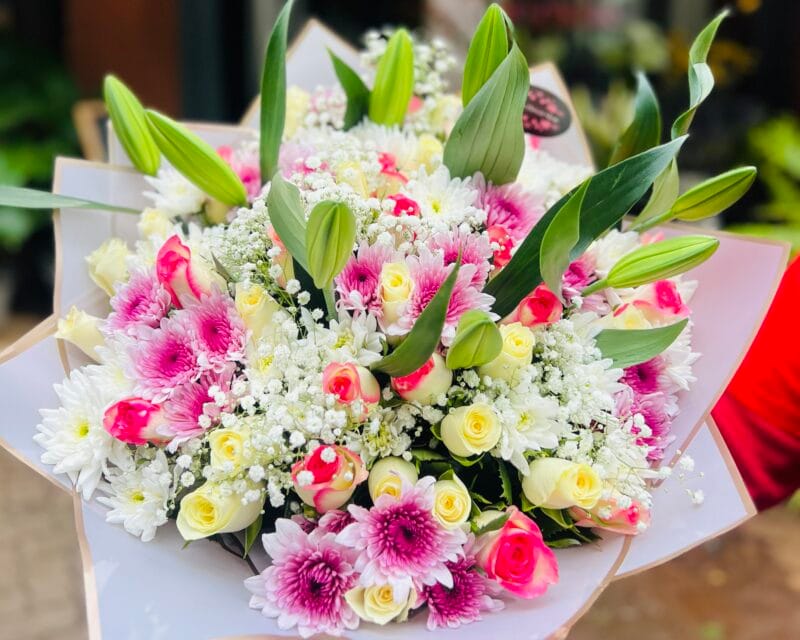 Big Color Your World